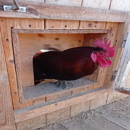 In Near Wolfsklamm River, Cleaning Included סטאנס